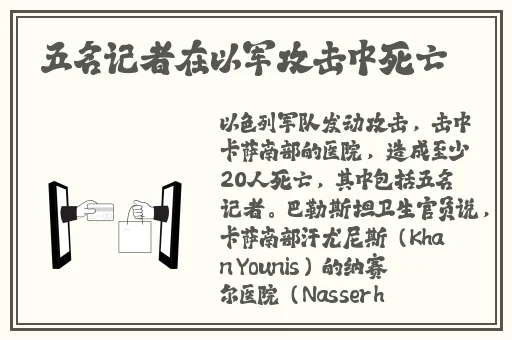大片性播放器